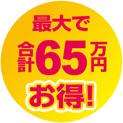 最大で合計65万円お得！